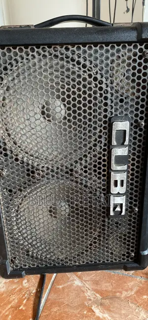 Roland Street Ex Battery Powered Speaker