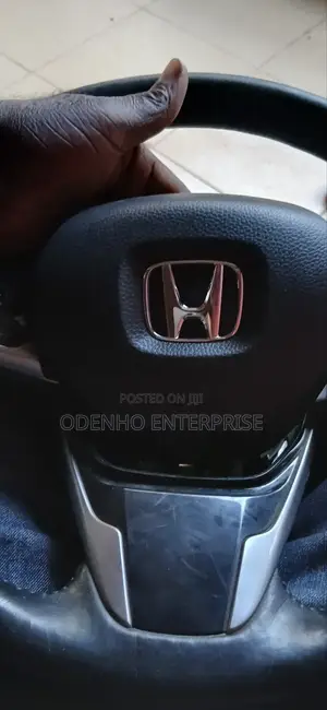 Odeneho Steers