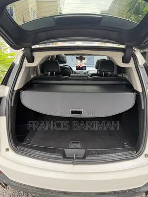 Acura RDX Advance Pkg SH-AWD 2020 White