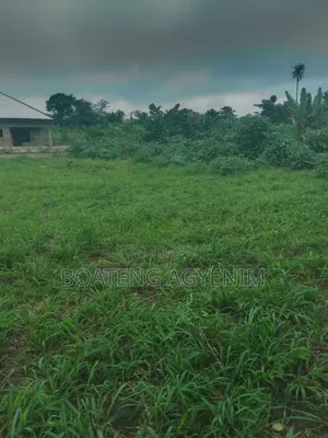 Two Full Plots in a Developed Area in Asonomaso Nkwanta Safo
