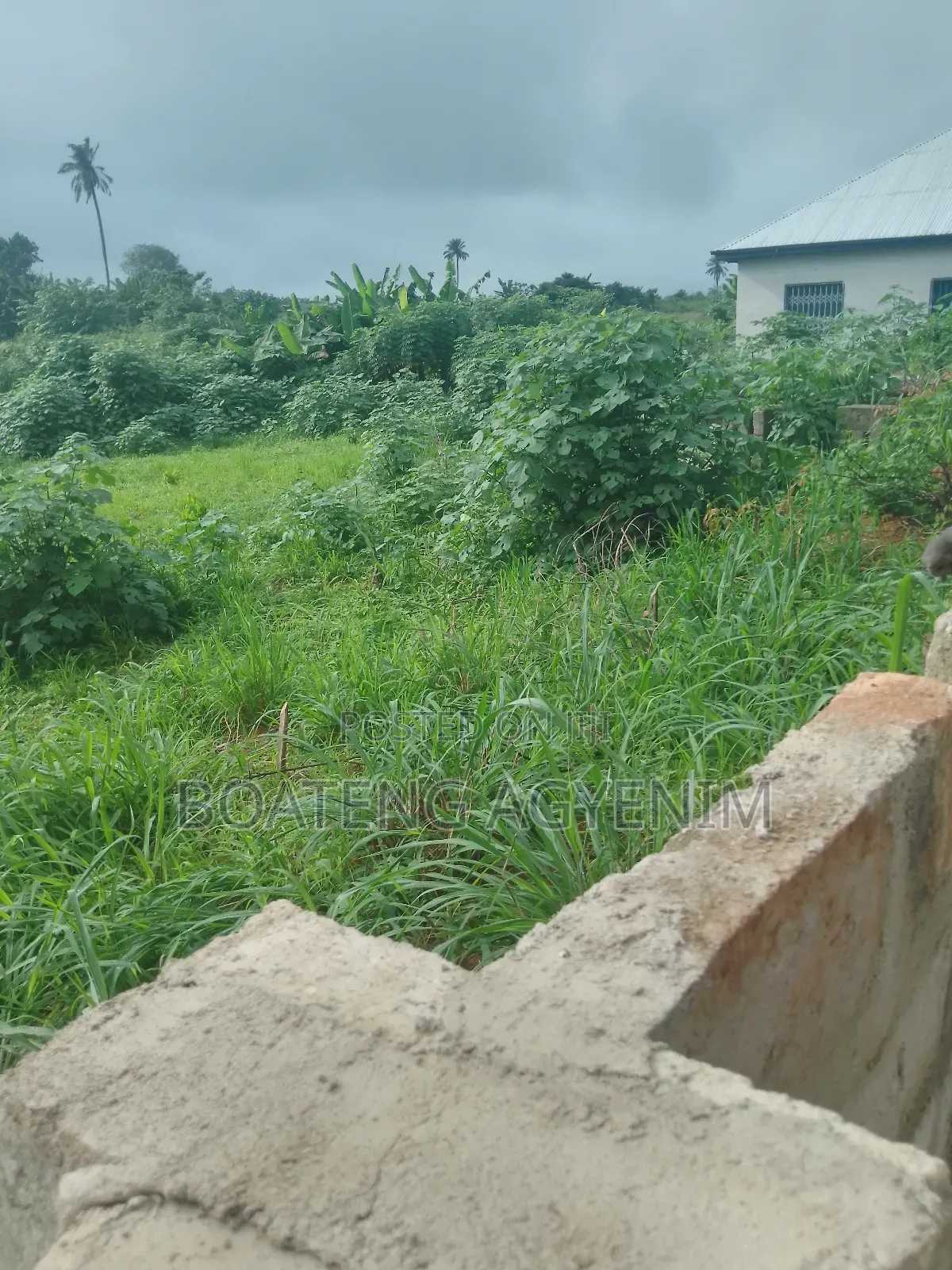 Two Full Plots in a Developed Area in Asonomaso Nkwanta Safo