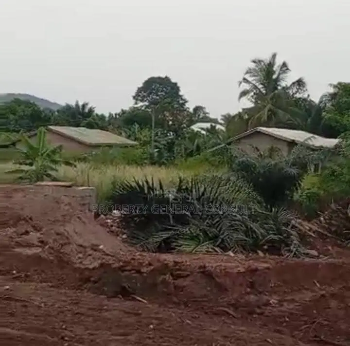 Township Land(at Fiave) for Sale in Ho