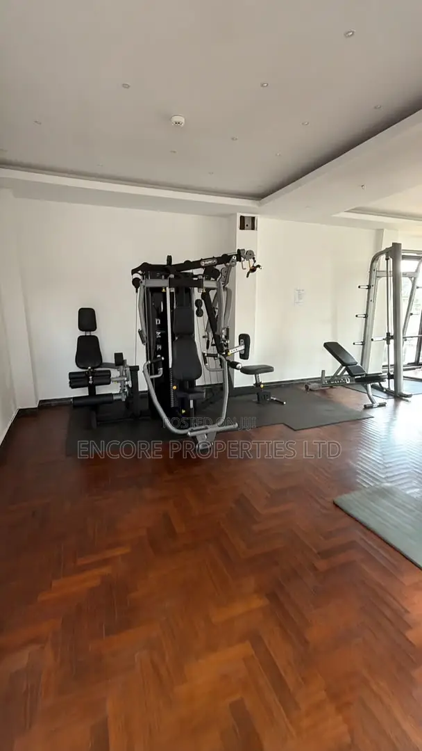 Furnished 3bdrm Apartment in Airport Residential Area for rent
