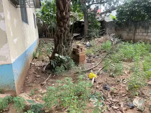 Two Plots of Land for Sale