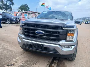 Ford F-150 2022 Gray