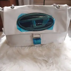 Ladies Bag at Affordable Prices