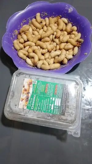 Fresh Akokono
