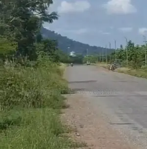 One Acre Roadside Land in Ho