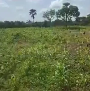 One Acre Roadside Land in Ho