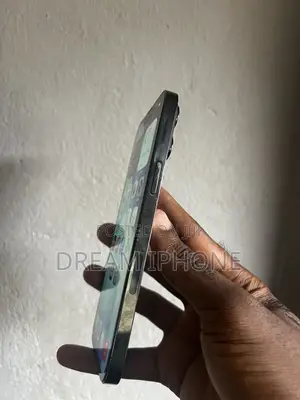 Apple iPhone 13 Pro Max 256 GB Graphite