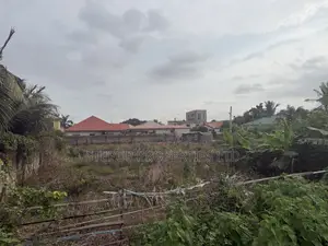 Roadside Land for Sale at Amrahia
