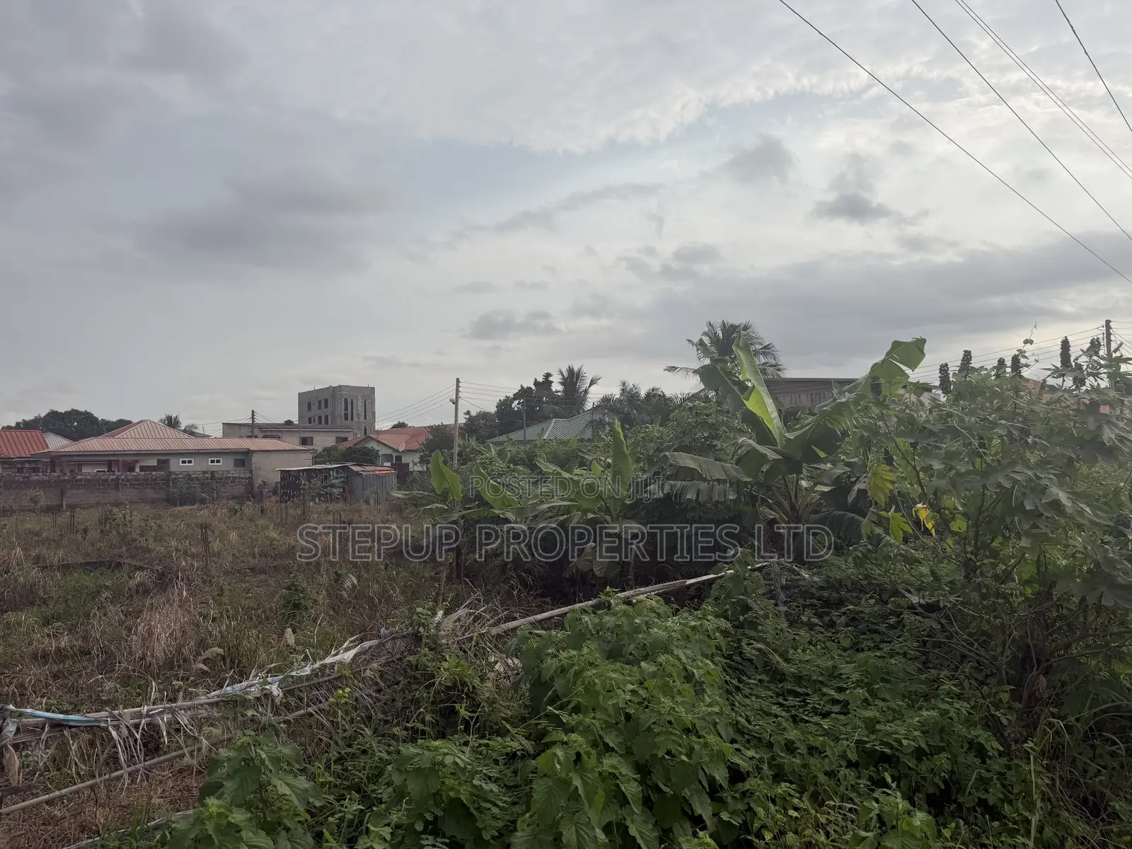Roadside Land for Sale at Amrahia