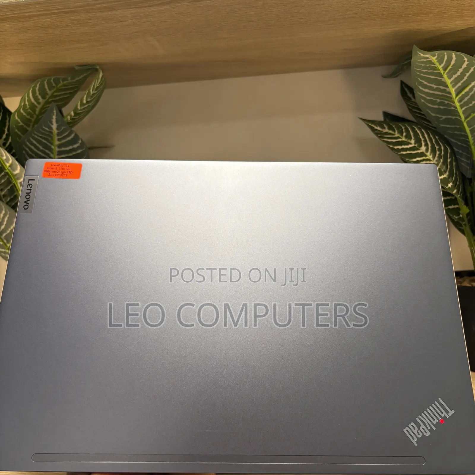 Laptop Lenovo ThinkPad T14 8GB Intel Core i5 SSD 256GB