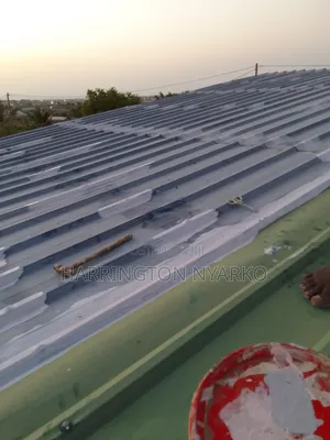 Roof Leakage Repairs Roof Repainting