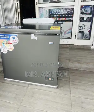 Unique Nasco Nas250fl Single Door Electric Chest(Gray)198L