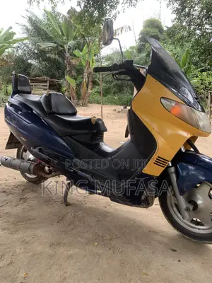 Suzuki Burgman 2009 Blue