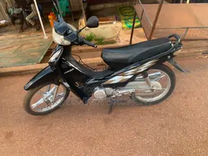 Luojia LJ110-8 2022 Brown