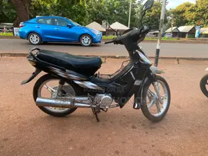 Luojia LJ110-8 2022 Brown