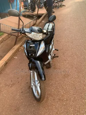 Luojia LJ110-8 2022 Brown