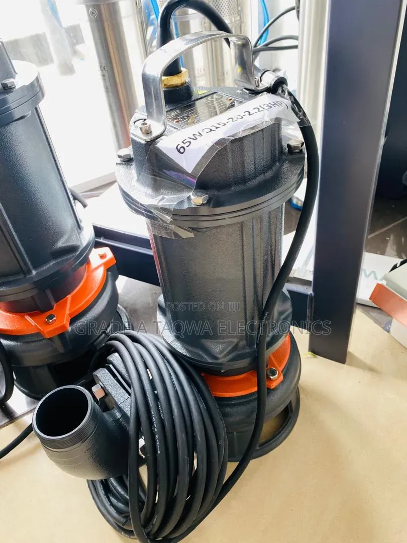 Leo 3 Horsepower Sewage Water Pump