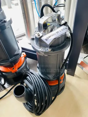 Heavy Duty 3 Horsepower Leo Sewage Water Pump
