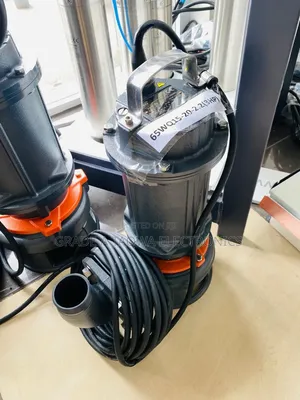 High Voltage Leo 3HP Sewage Water Pump