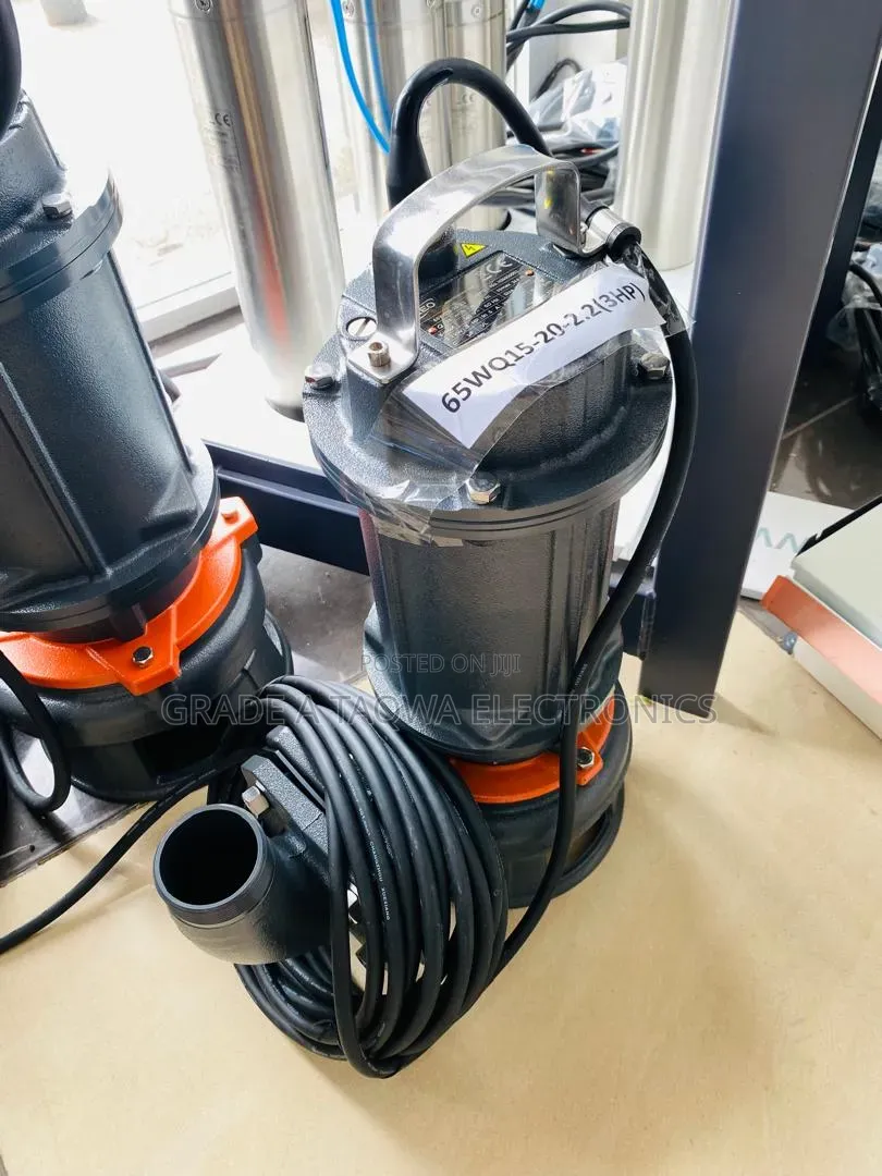 High Voltage Leo 3HP Sewage Water Pump