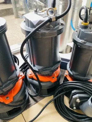 3 Phase Leo 4HP Sewage Water Pump
