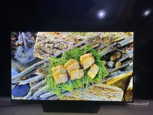 High Vivid Colours LG OLED C3 120 Hz at Uhd HDR+ Smart 48 Inche Uk TV