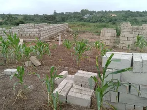 Very Serene Place of Land at Amasaman-Danchira