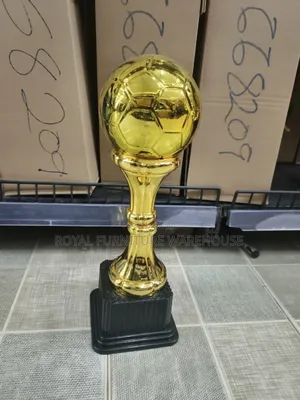 A Golden Football (Soccer) Trophy (668015)