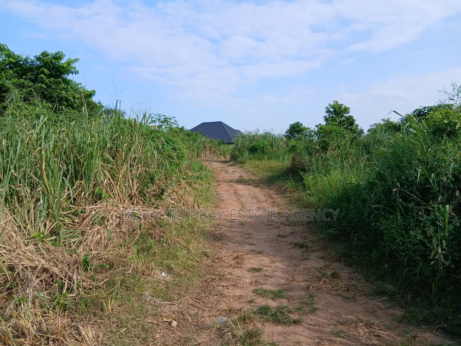 Full Plot of Land for Sale