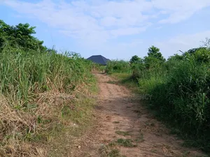 Full Plot of Land for Sale