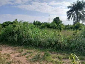 Full Plot of Land for Sale