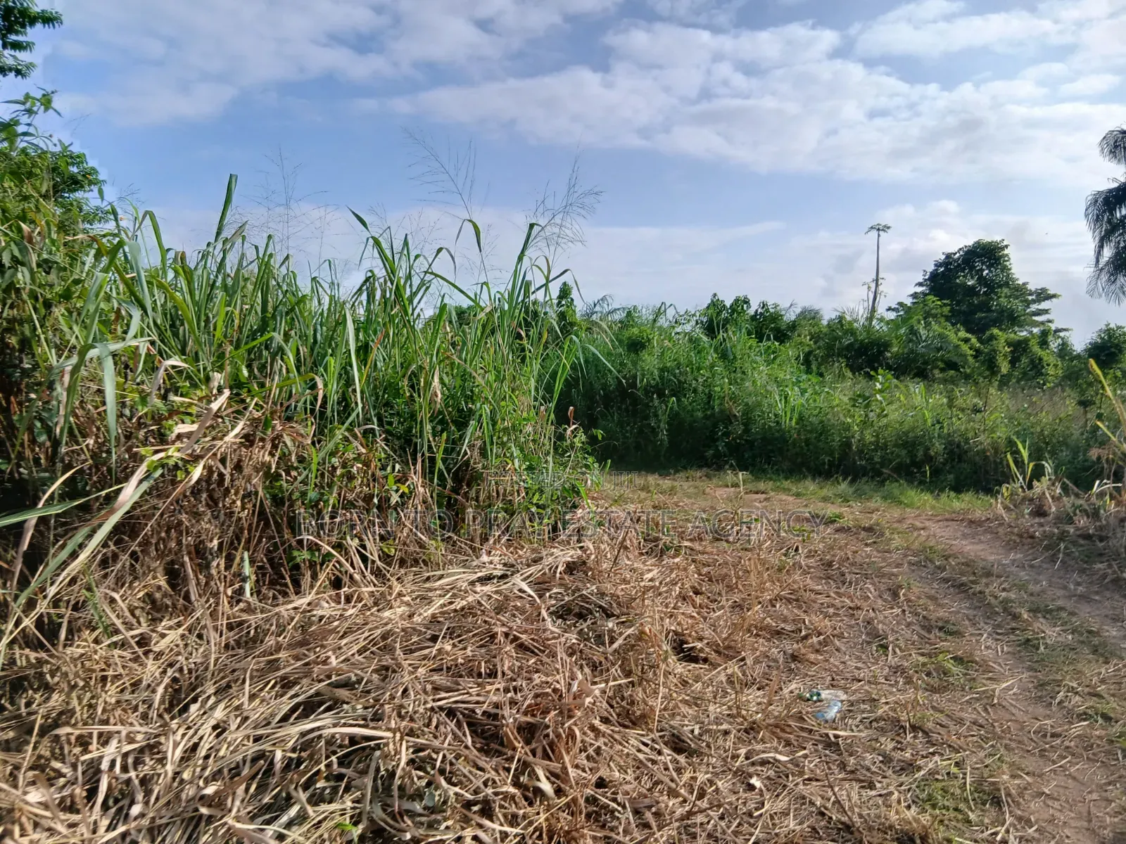 Full Plot of Land for Sale