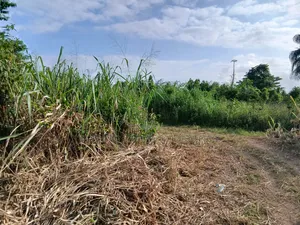 Full Plot of Land for Sale