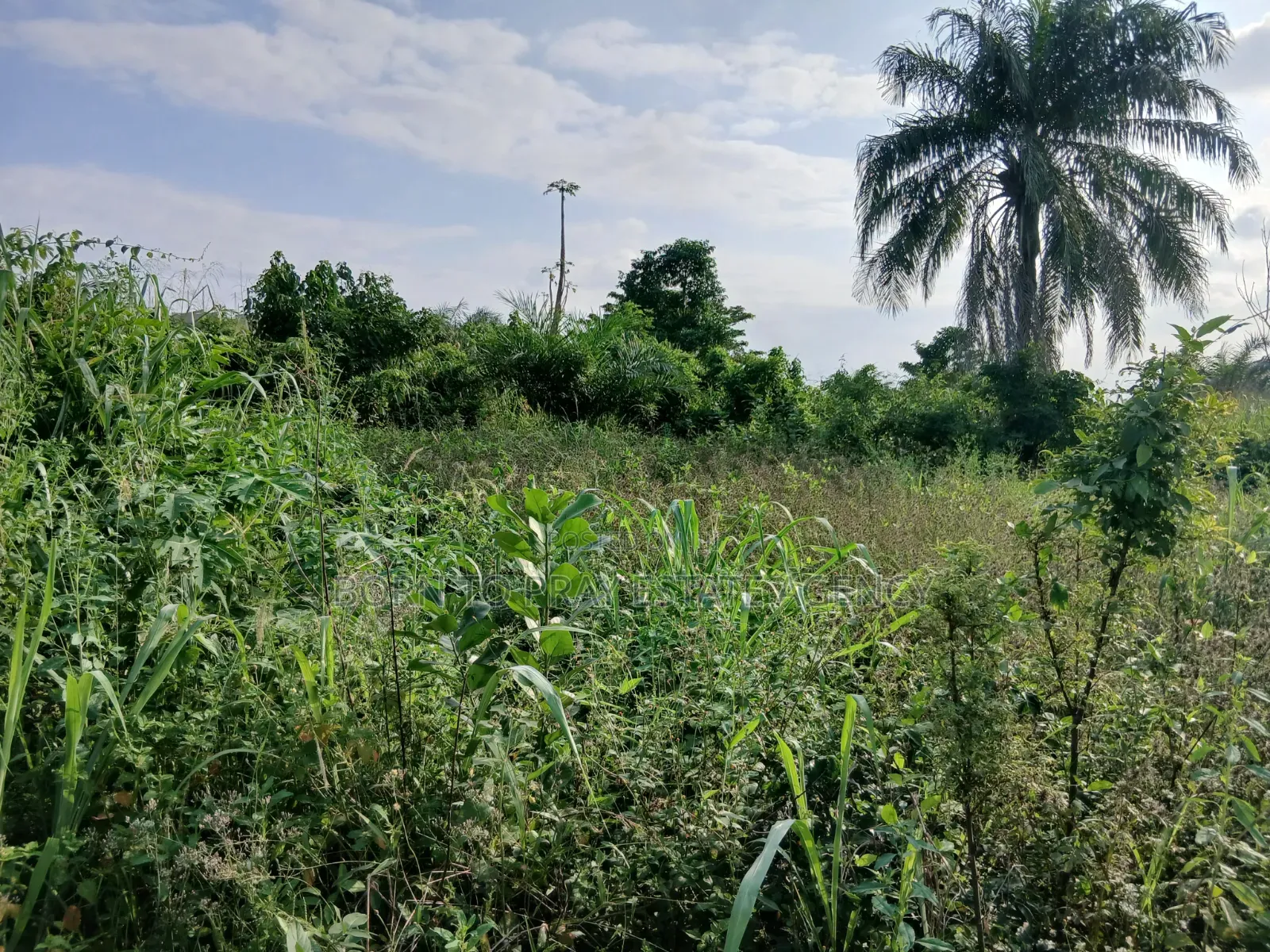 Full Plot of Land for Sale