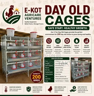 Day Old Cages