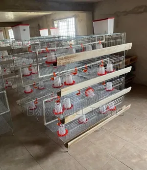 Day Old Cages