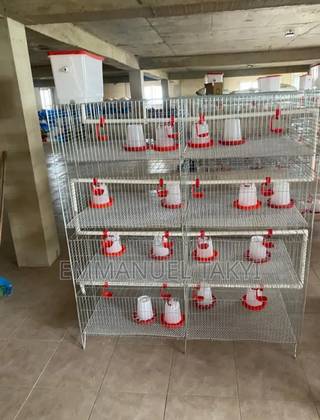 Day Old Cages