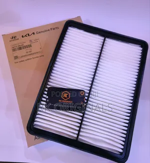 Santa Fe 13-18/Sorento 14-15 Air Filter From KOREA 