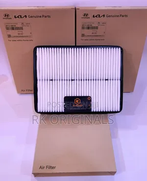 Santa Fe 13-18/Sorento 14-15 Air Filter From KOREA 