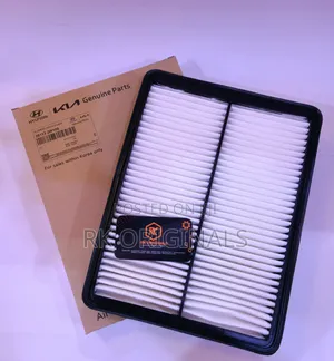 Santa Fe 13-18/Sorento 14-15 Air Filter From KOREA 