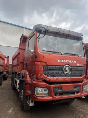 Brand New SHACMAN 10/12 Wheeler TIPPERS