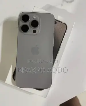 Apple iPhone 15 Pro Max 256 GB Silver