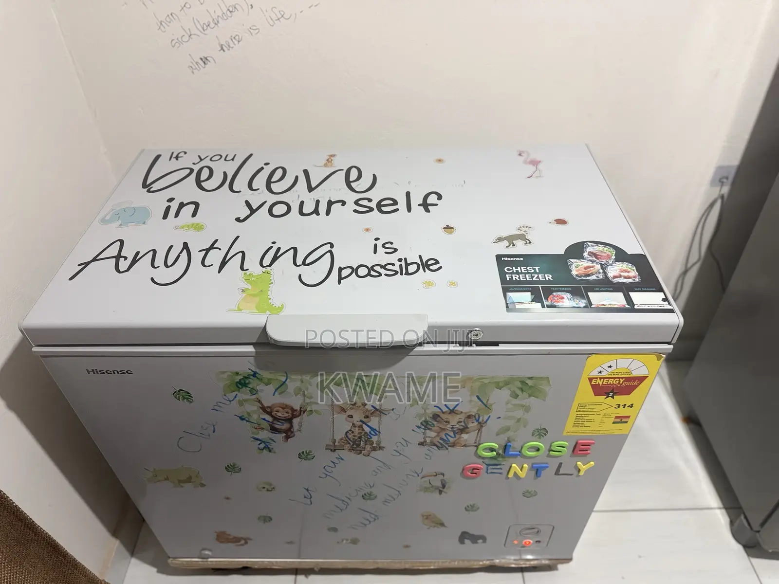 Chest Freezer (Hisense 330l)