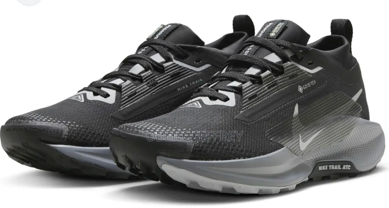 Original Nike Pegasus Trail 5 Goretex