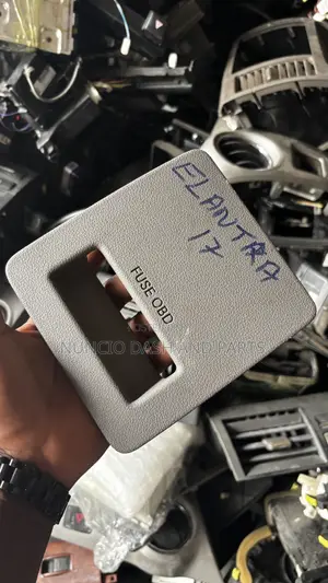 Hyundai Elantra 2017 2018 Fuse Cover