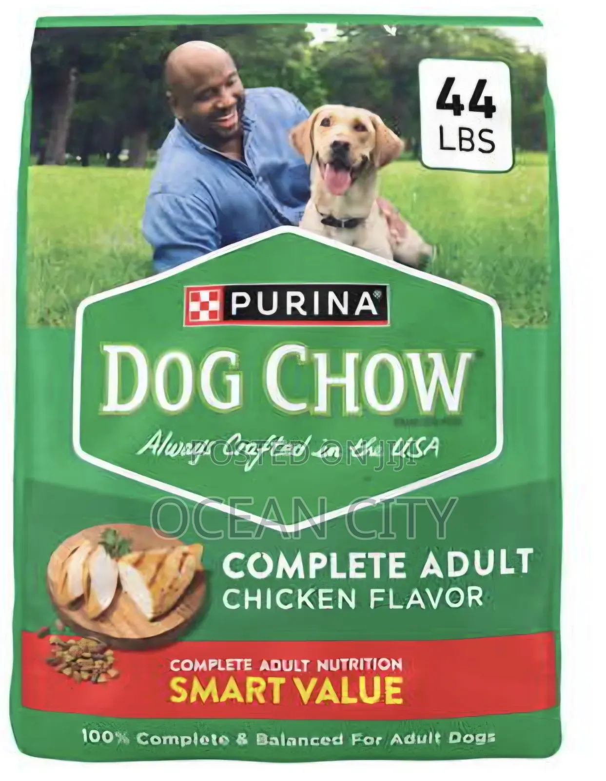 Purina Dog Chow Adult Chicken Flavor
