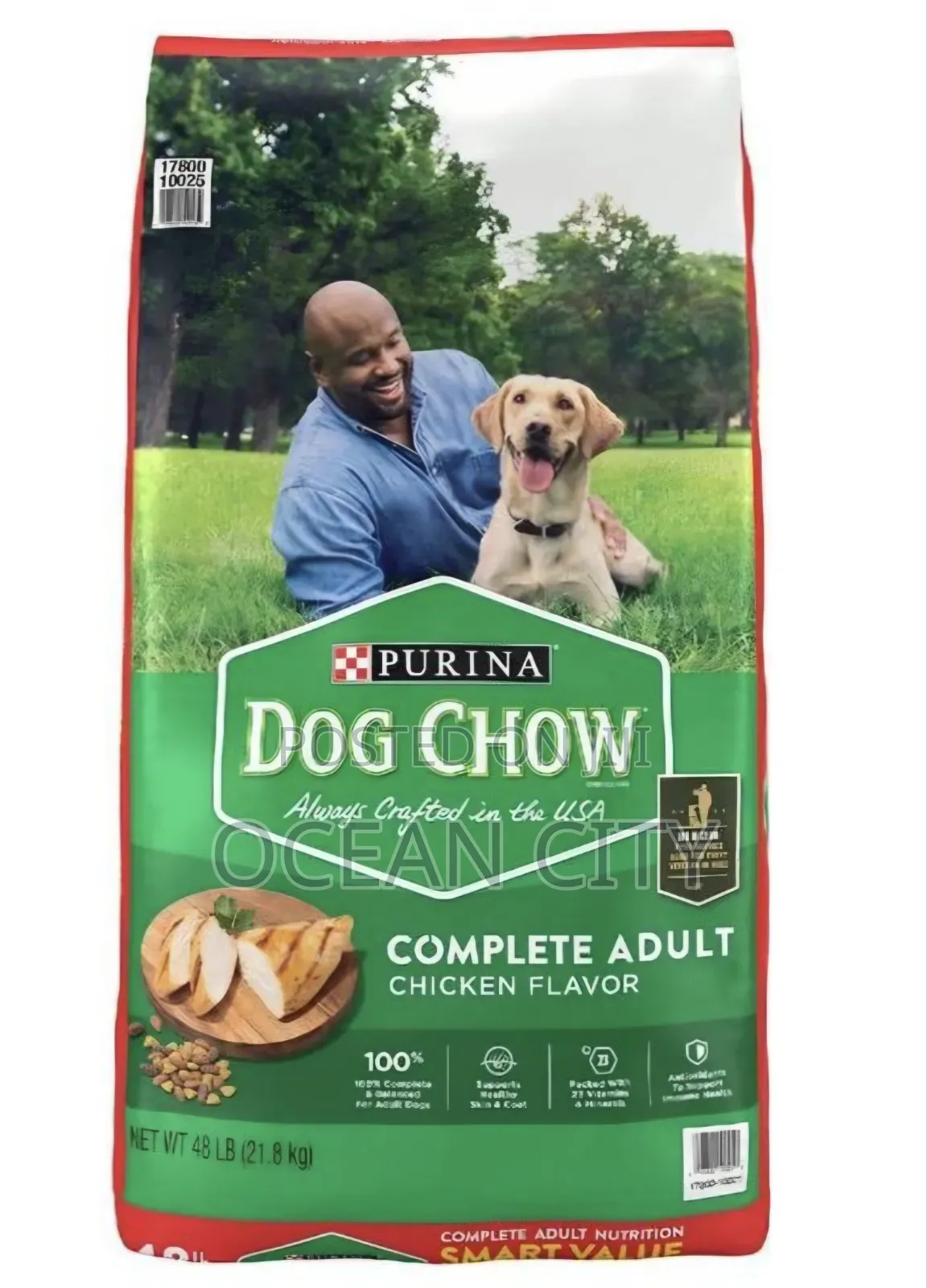 Purina Dog Chow Adult Chicken Flavor